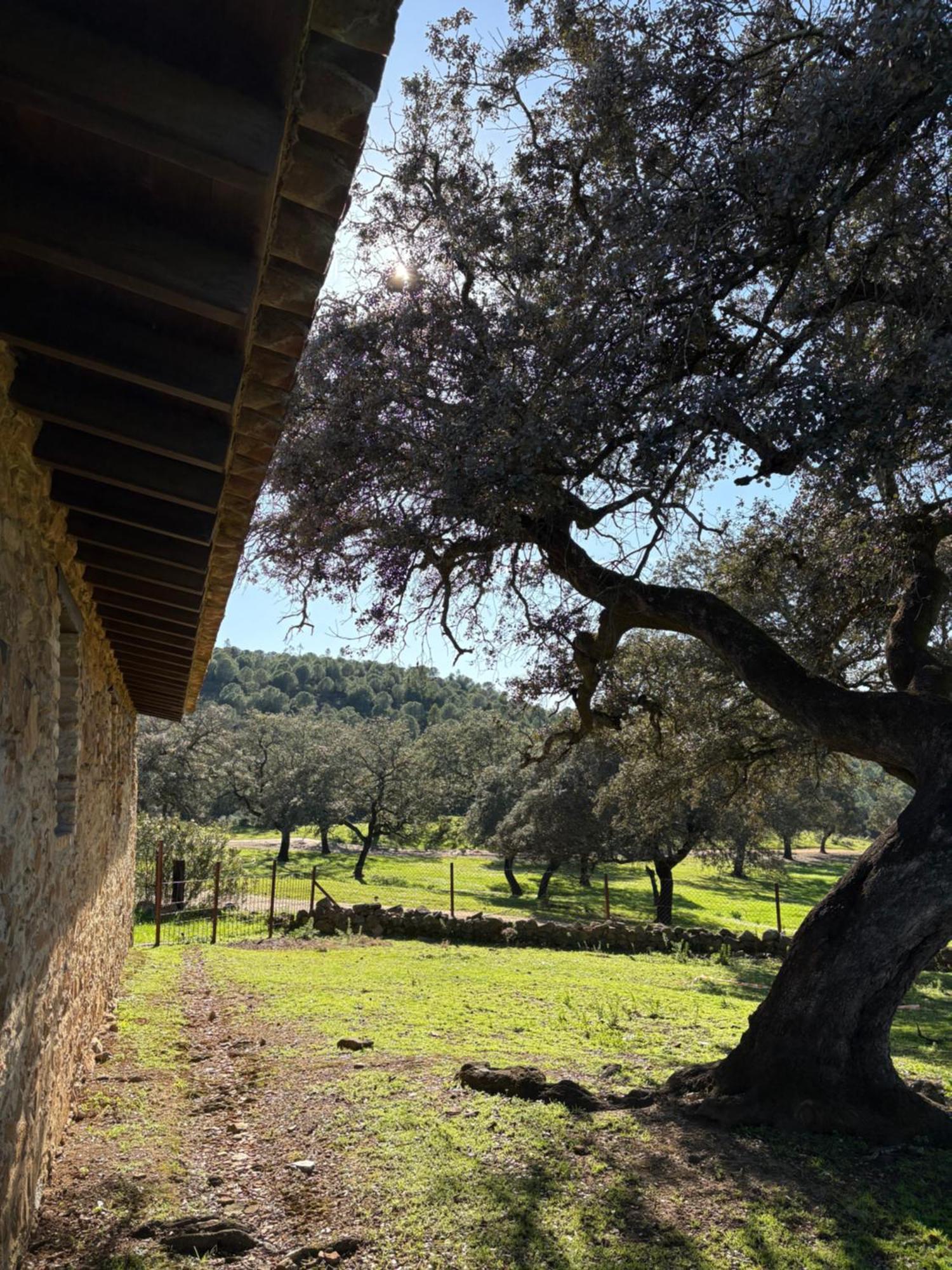 Finca Los Caleros Juan Gallegos Luaran gambar