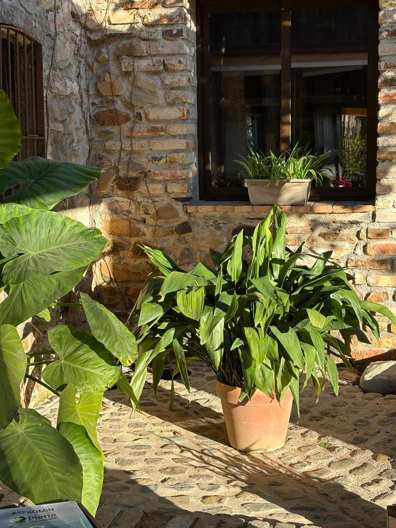 Finca Los Caleros Juan Gallegos Luaran gambar